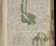 El Manuscrito Voynich El Manuscrito Voynich